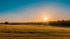 A photo taken during the golden hour with warm, soft light and an interesting foreground