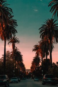 A photo with a background sunset that adds to the photo, such as a beautiful colorful street