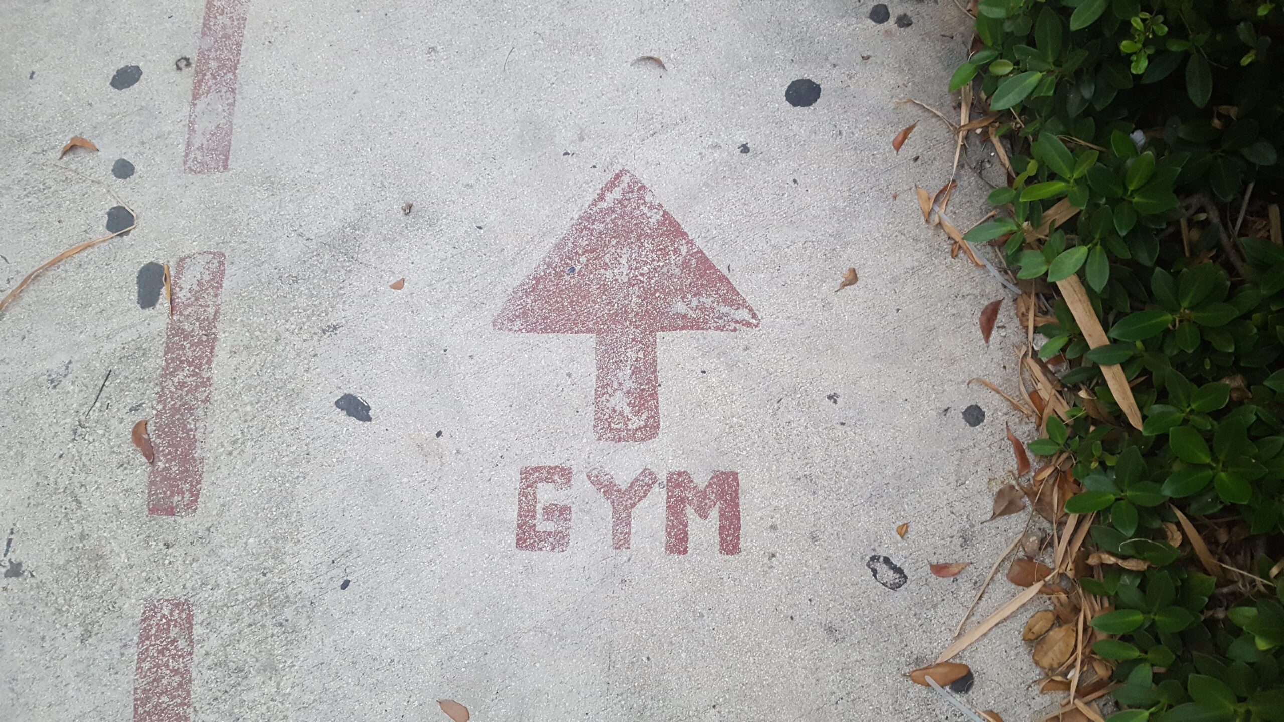 gymGround